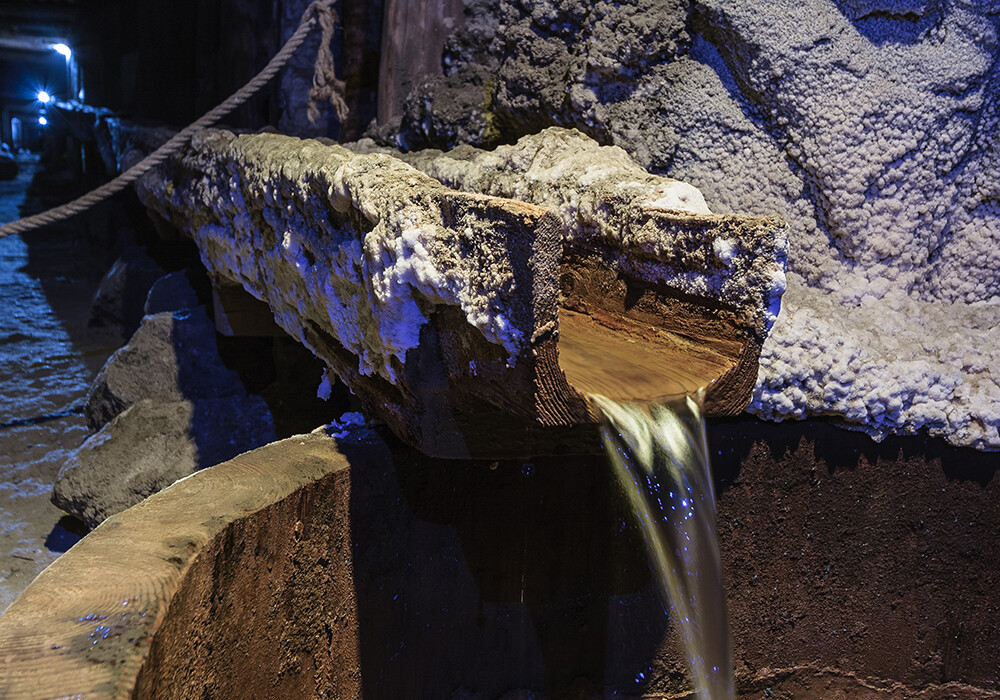 Wieliczka, Kopalnia soli